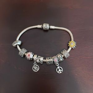 Pandora Bracelet and Charms